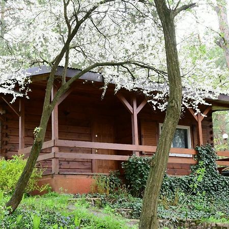 Sosnowy Domek Serpelice Экстерьер фото